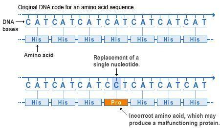 missense mutation