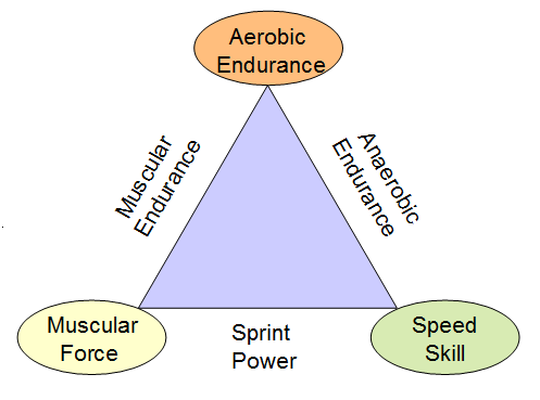 Friel's Abilities Triangle